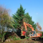 RABAUD XYLOCUT 310 PE | Fällgreifer für Bagger 13,0 bis 17,0 to. - Image 4