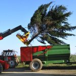 RABAUD XYLOCUT 300 | Fällgreifer für Teleskoplader - Image 2