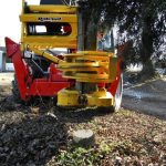 RABAUD XYLOCUT 300 | Fällgreifer für Teleskoplader - Image 3