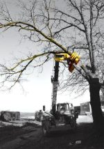 RABAUD XYLOCUT 300 | Fällgreifer für Teleskoplader - Image 5